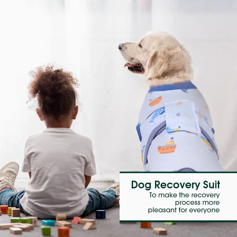 Kuoser Recovery Suit for Dogs Cats After Surgery